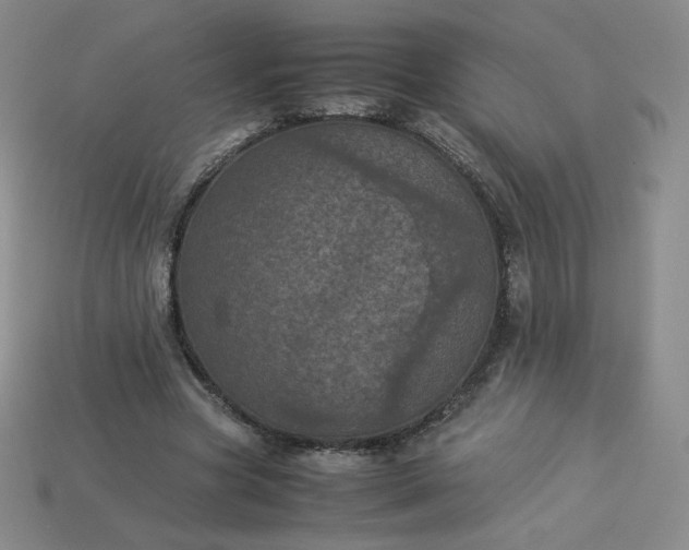 X0000114090537200910191605