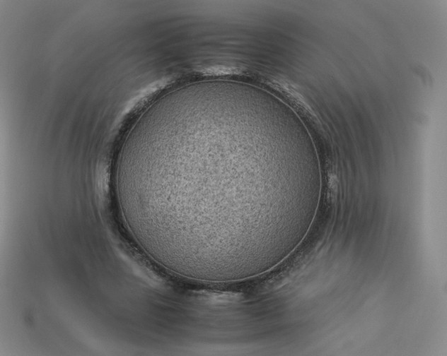 X0000114090539200910191605