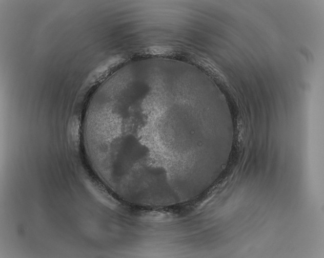 X0000114090542200910191605