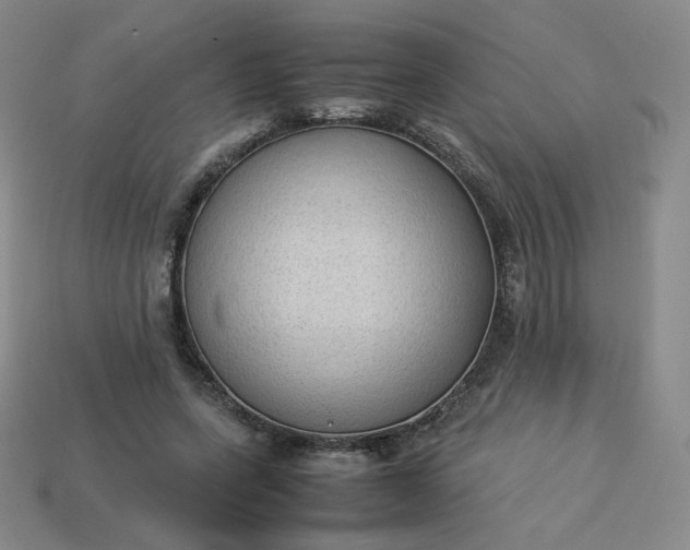 X0000114090543200910191605