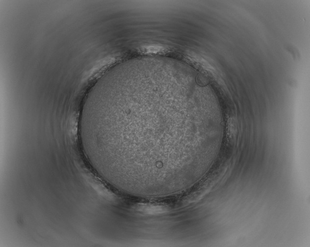 X0000114090545200910191605