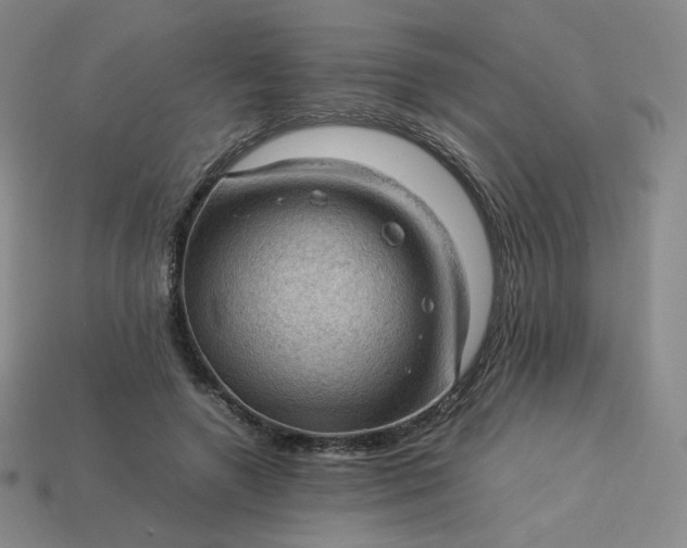X0000114090546200910191605