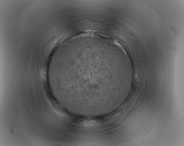 X0000114090547200910191605
