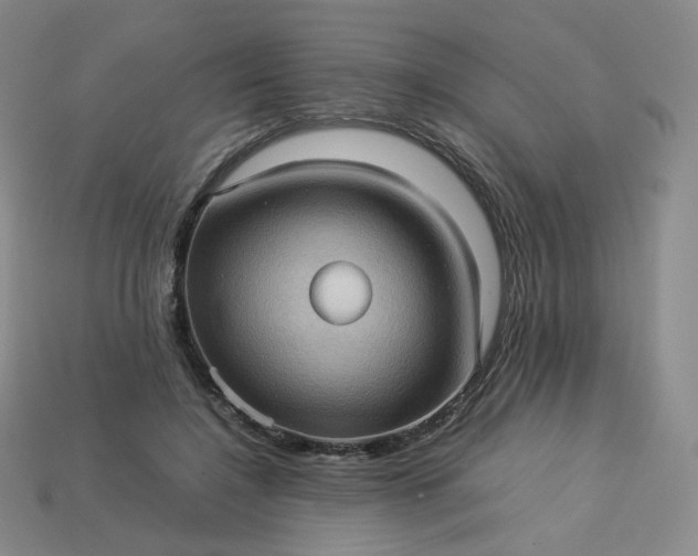 X0000114090548200910191605