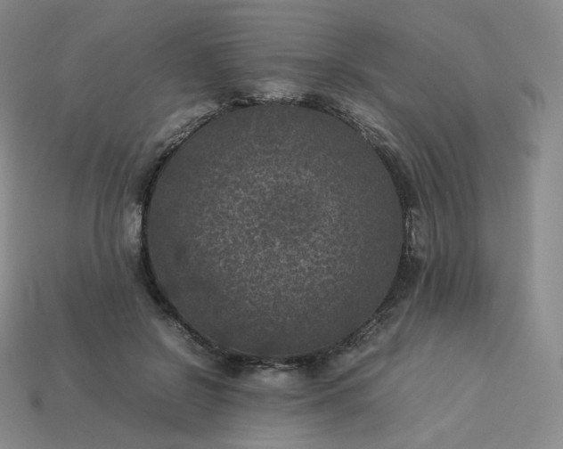 X0000114090550200910191605
