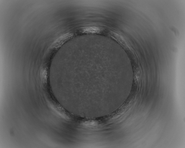 X0000114090551200910191605