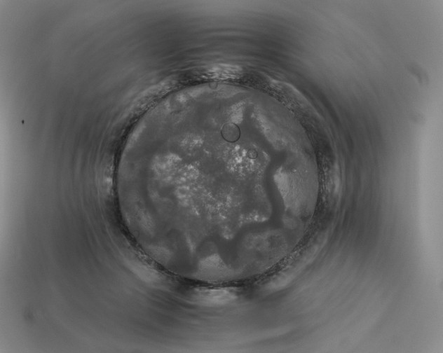 X0000114090553200910191605