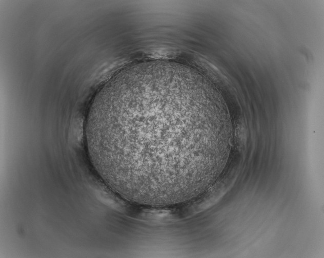 X0000114090554200910191605