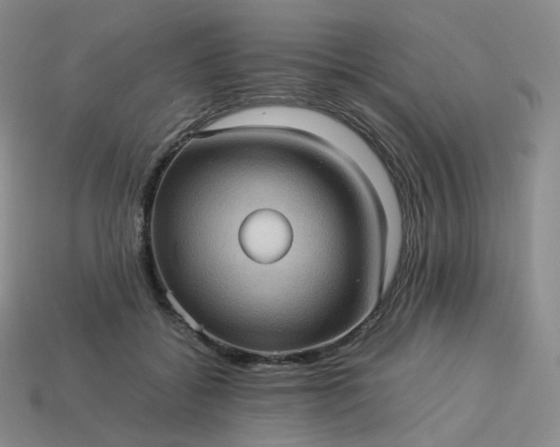 X0000114090556200910191605