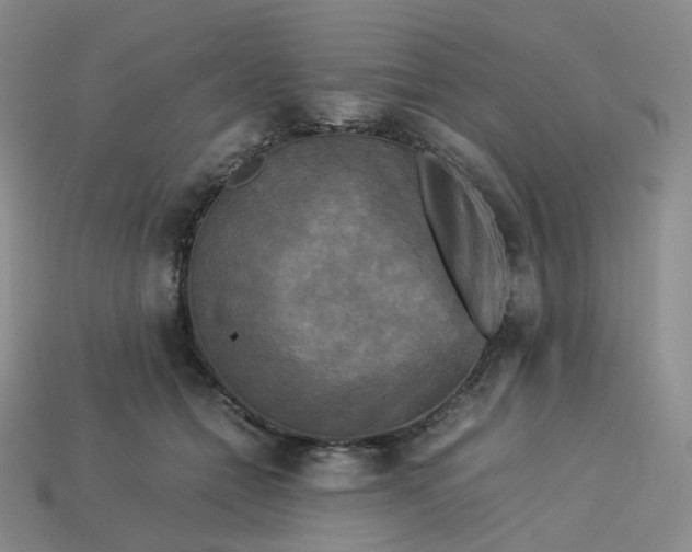 X0000114090558200910191605