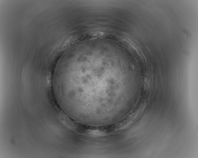 X0000114090561200910191605