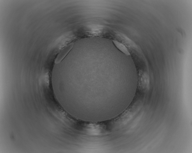 X0000114090562200910191605