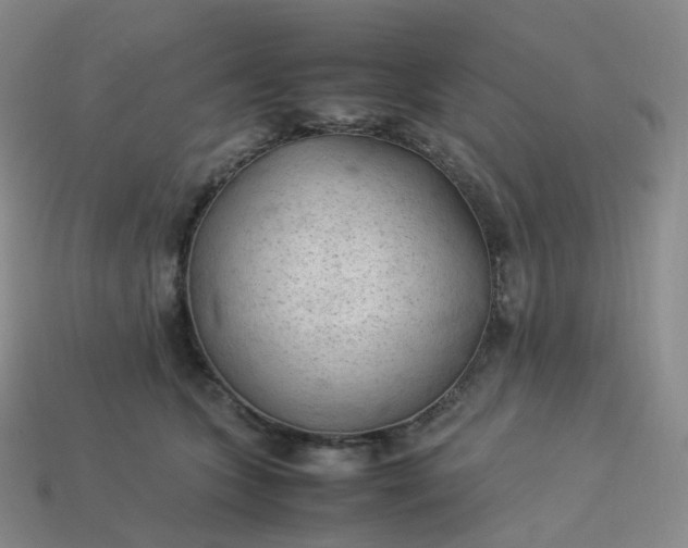 X0000114090563200910191605