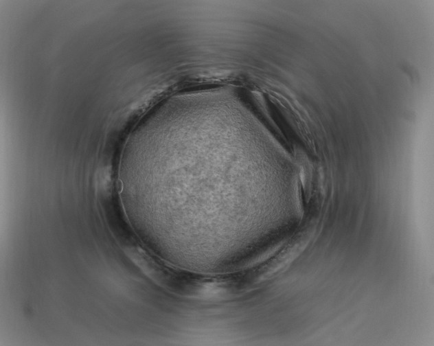 X0000114090564200910191605