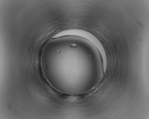 X0000114090566200910191605