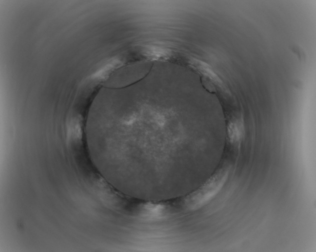 X0000114090570200910191605