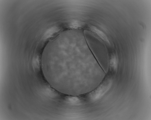 X0000114090572200910191605