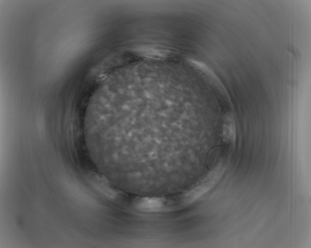 X0000114090573200910191605