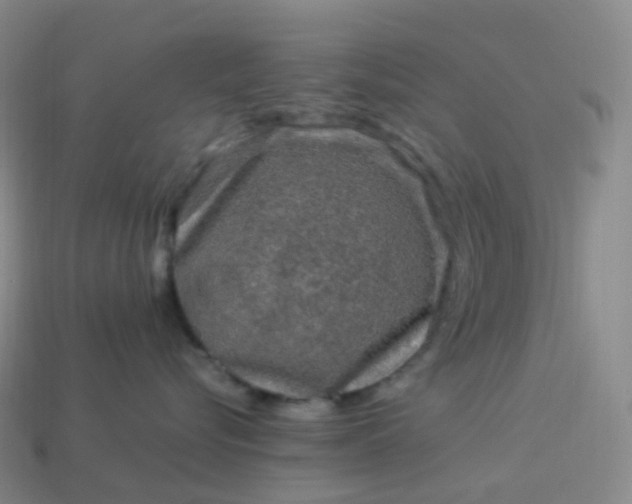 X0000114090576200910191605