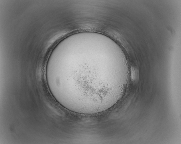 X0000114090579200910191605