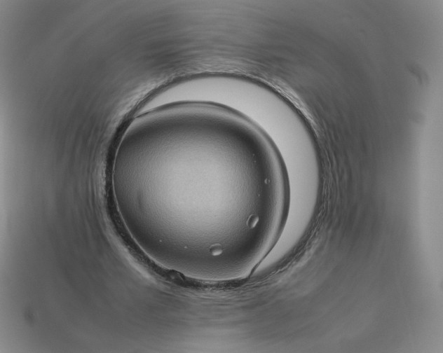 X0000114090581200910191605