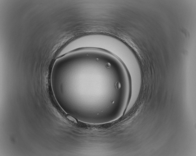 X0000114090585200910191605