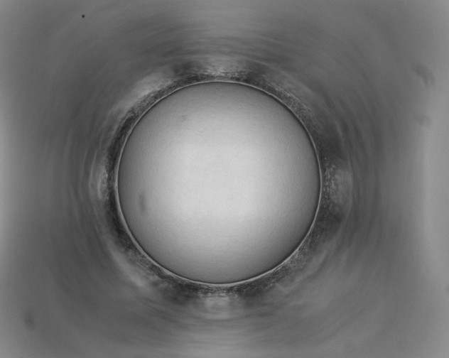 X0000114090587200910191605