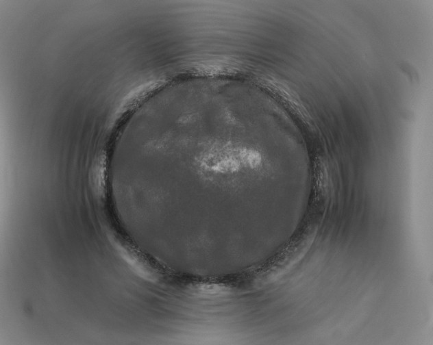 X0000114090590200910191605