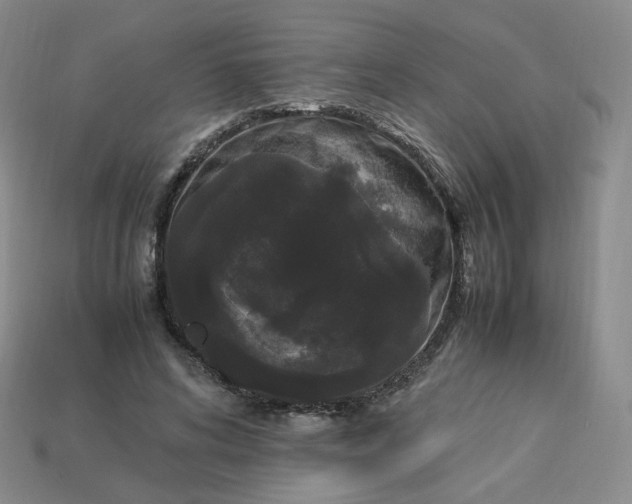 X0000114090592200910191605