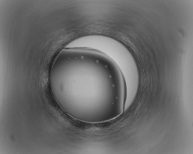X0000114090593200910191605