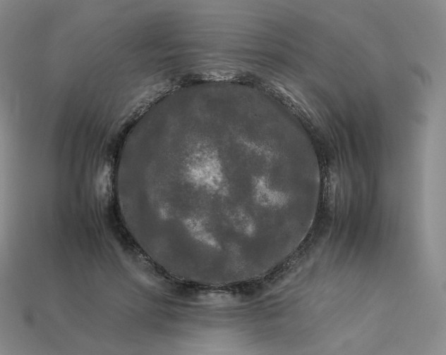 X0000114090598200910191605