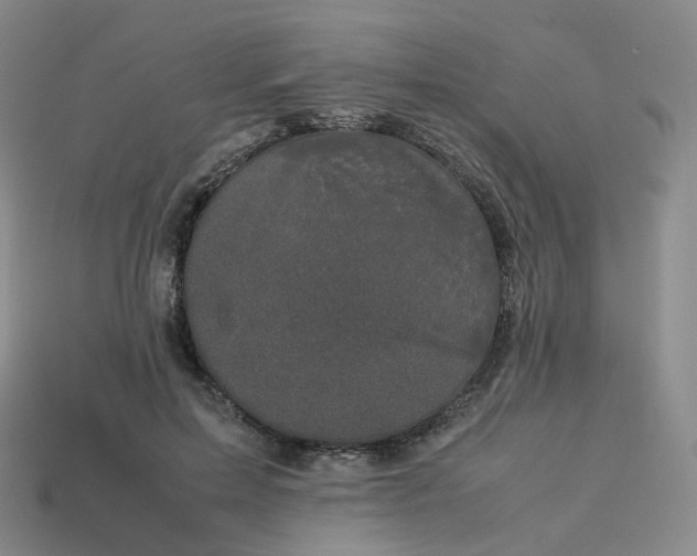 X0000114090599200910191604