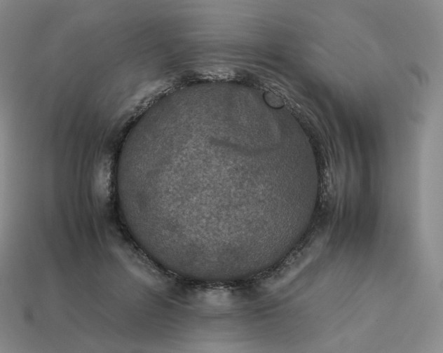 X0000114090600200910191604