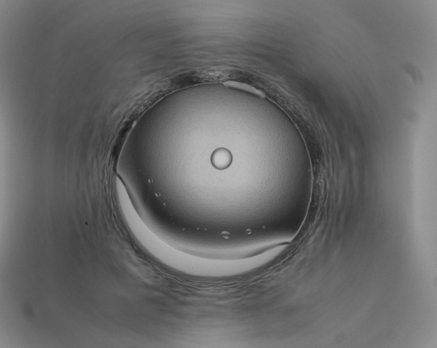 X0000114090601200910191604