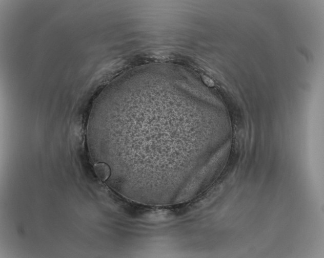 X0000114090609200910191604