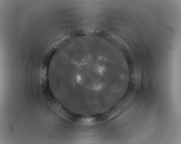 X0000114090610200910191604