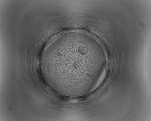 X0000114090613200910191604
