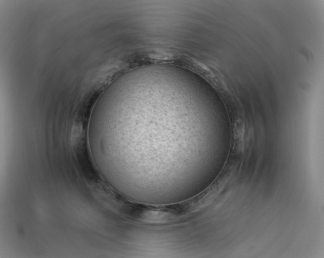 X0000114090614200910191604