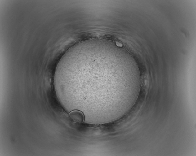 X0000114090615200910191604