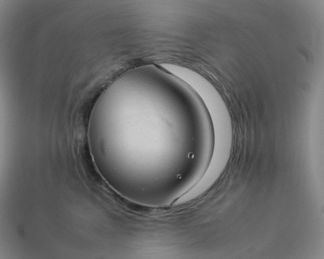X0000114090617200910191604