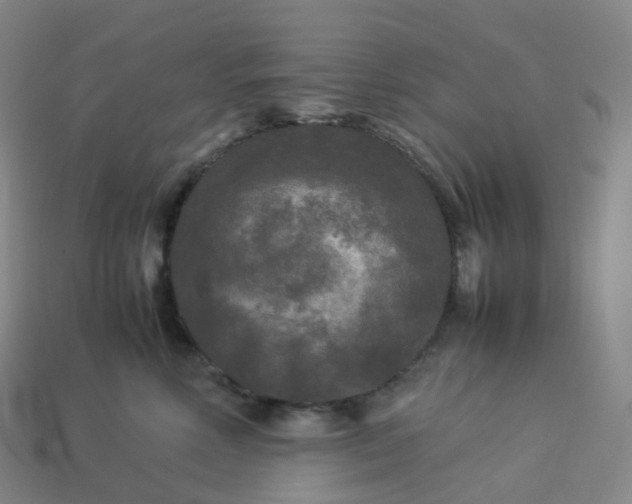 X0000114090618200910191604