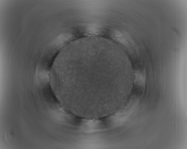 X0000114090621200910191604
