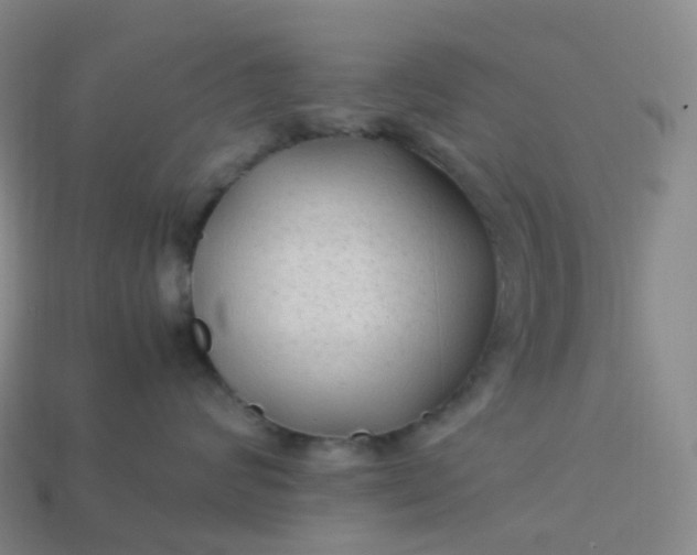 X0000114090624200910191604