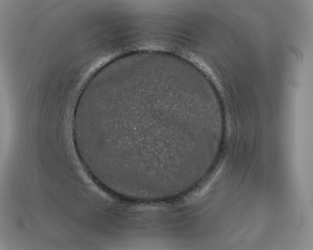 X0000114090625200910191603