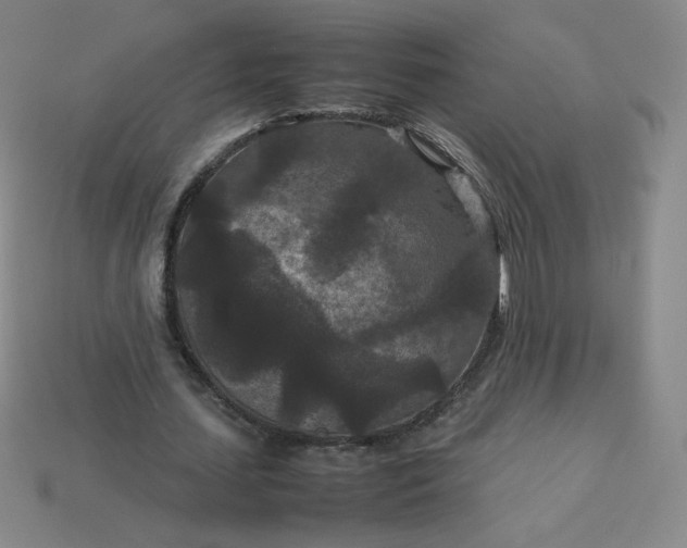 X0000114090627200910191603
