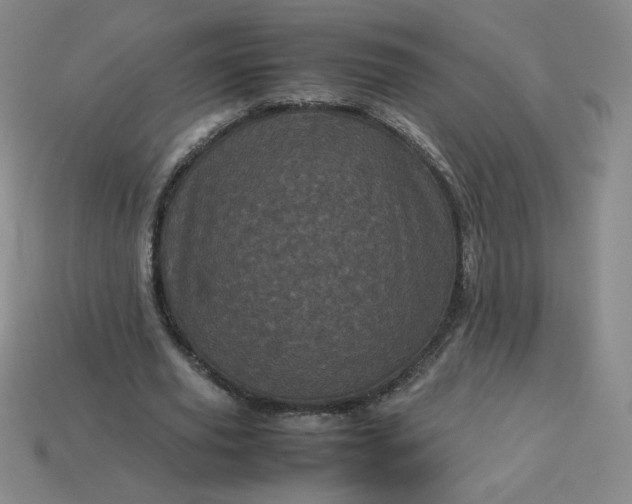 X0000114090629200910191604