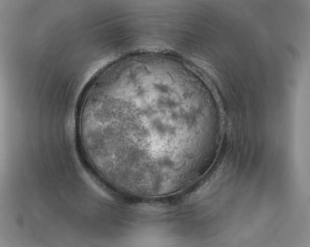 X0000114090630200910191604