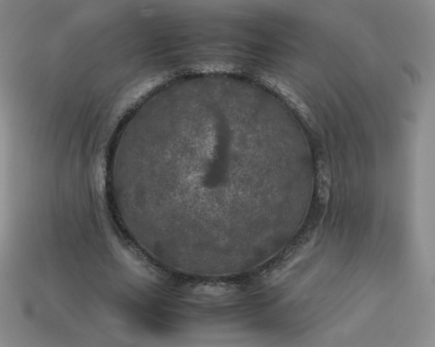 X0000114090631200910191604