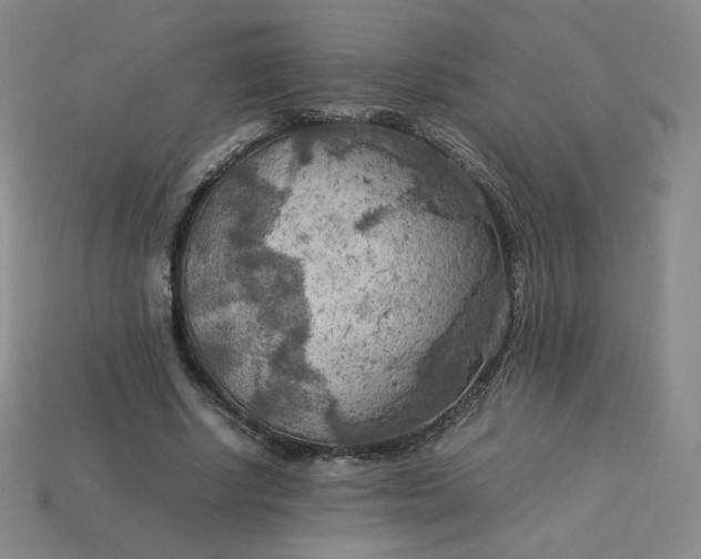 X0000114090634200910191604