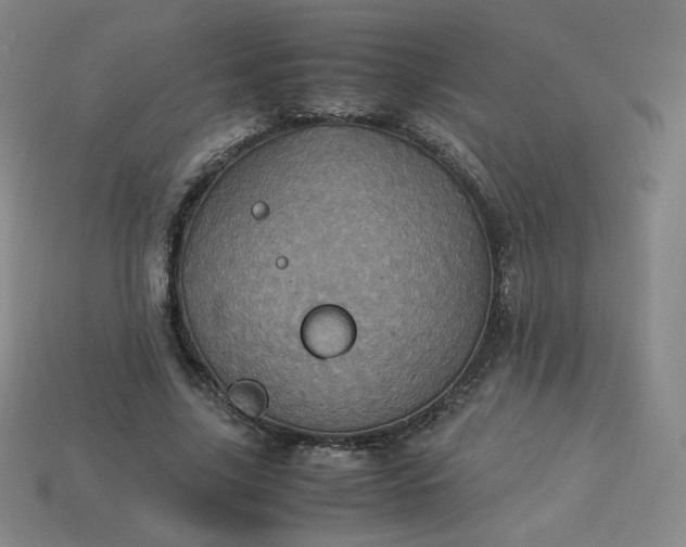 X0000114090635200910191604
